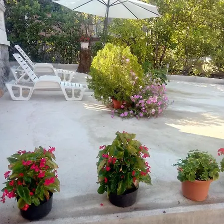 Apartmani 