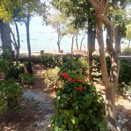 Apartmani 